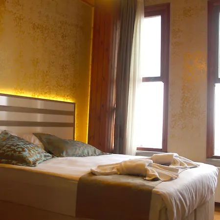 מלון Theodian איסטמבול