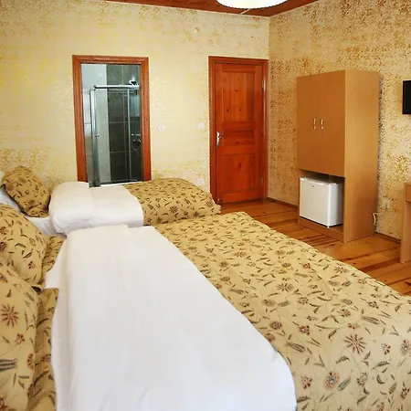 Hotel Theodian Stambuł