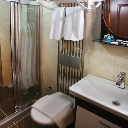 Hotel Theodian 3*