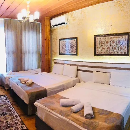 فندق تيودان 3*
