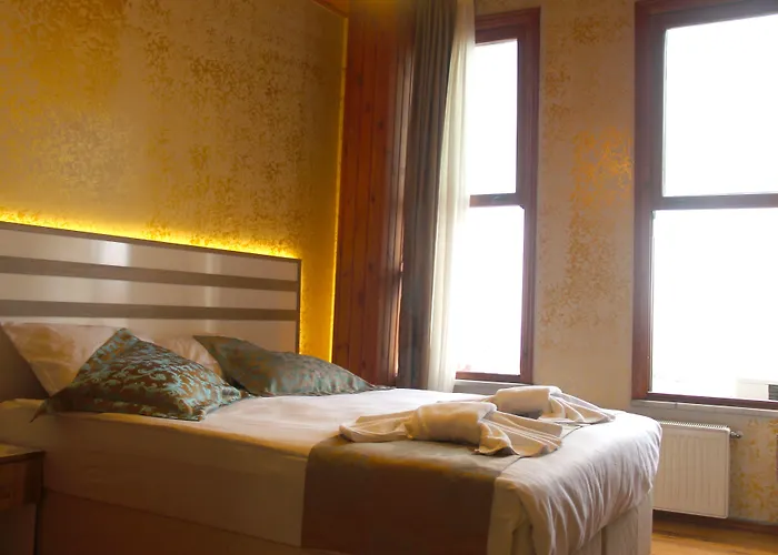 Hotel Theodian Stambuł