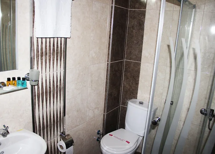 Hotel Theodian Stambuł