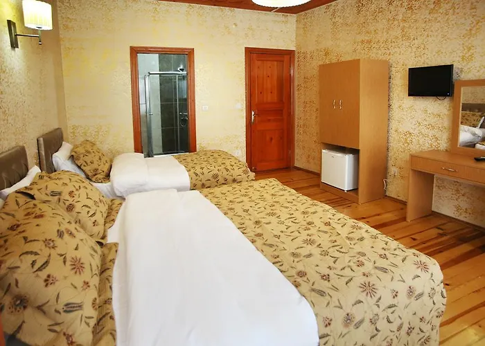 Hotel Theodian Stambuł