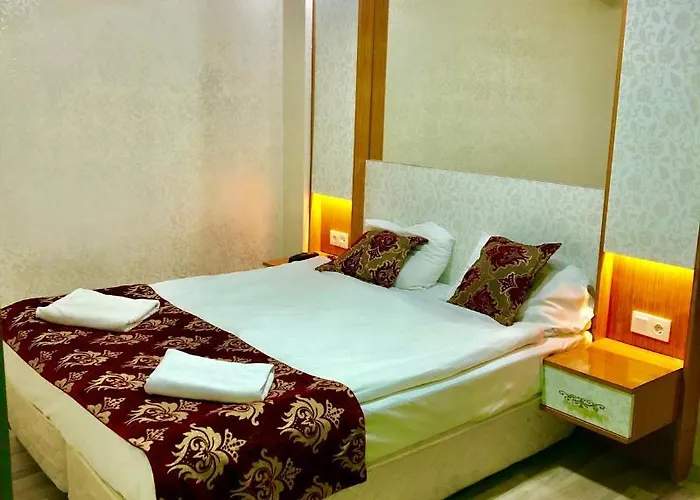 Hotel Theodian Stambuł