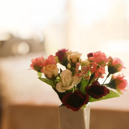 Theodian 3* Κωνσταντινούπολη